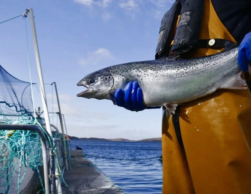 man holding fish